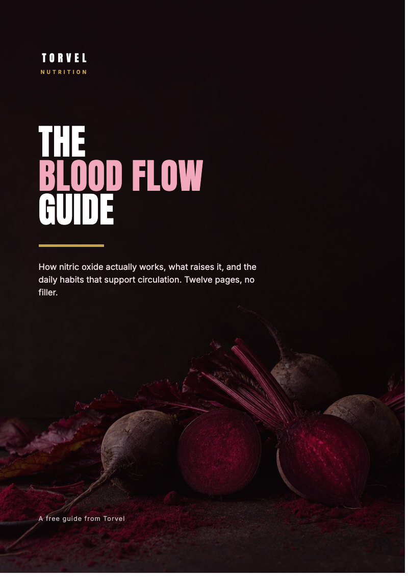The Blood Flow Guide, a free 12-page PDF from Torvel